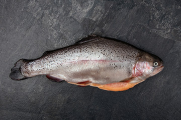Fresh salmon trout