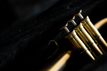 Naklejka premium A gold looking matte finish on a flugelhorn in a black case