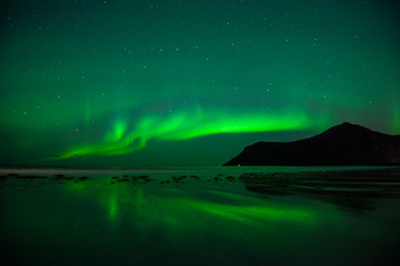 beautiful aurora boreal in Lofoten Islands