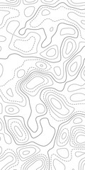 Topographic map. Topographical background. Linear graphics. Vector illustration.