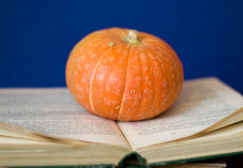 Vivid orange pumpkin on the open book and blue background