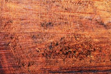 A closeup of a cut of an old stump. The material is pine. With the main focus in the center and a slight blur on the right. Creative texture for background.