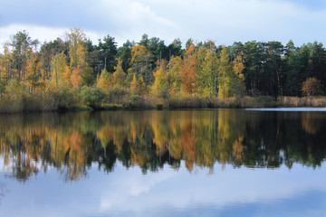 Fototapeta na wymiar Beautiful autumn landscape for a calendar or postcard. Colorful trees are reflected in the water of a forest lake.