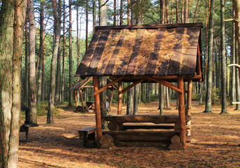 Forest arbor for a tourist holiday. Autumn landscape.