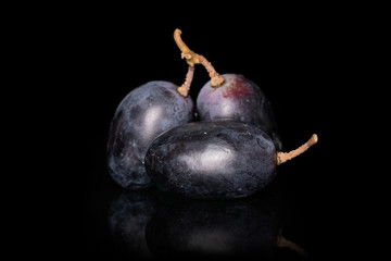 Group of three whole fresh black grape berries isolated on black glass