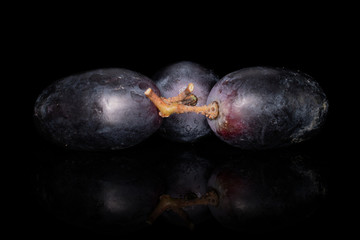 Group of three whole fresh black grape isolated on black glass
