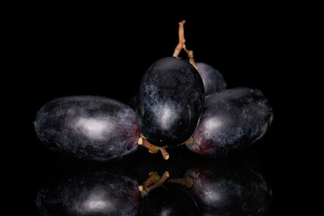 Group of four whole fresh black grape isolated on black glass