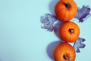 pumpkin arrangement. flat lay autumn wallpaper