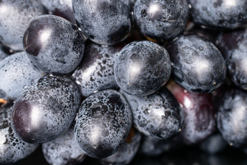 Lot of whole fresh black grape closeup isolated