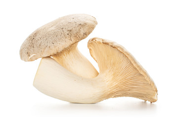 Group of two whole raw fresh creamy king trumpet mushroom isolated on white background