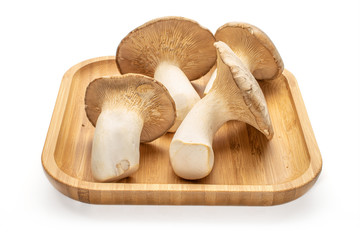Fototapeta na wymiar Group of four whole fresh creamy king trumpet mushroom on wooden square plate isolated on white background