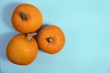 pumpkin arrangement. flat lay autumn wallpaper