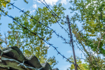 Two threads of monobasic barbed wire and several lines of dibasic barbed wire, covered with rust, stretched on old metal brackets over a concrete fence against a green shrub and clear blue sky