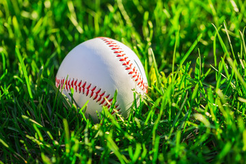 Baseball Ball on Grass Field