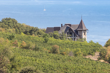 Cottage by the sea.