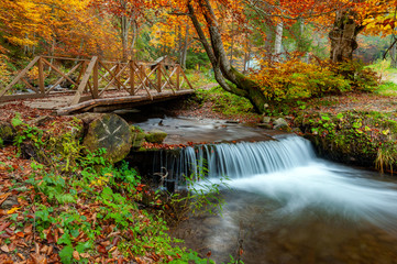 Obraz na płótnie Canvas Mountain waterfall in autumn forest