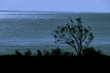 Bay of Fundy coastline at dusk as a duotone 