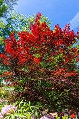 USA.May 2019. See rock city gardens national park.