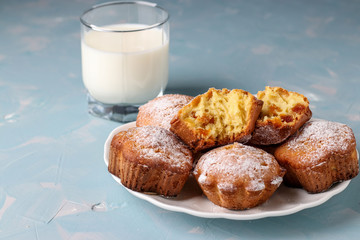 Homemade muffins with dried apricots sprinkled with powdered sugar and a glass of milk on a light blue background, horizontal orientation, closeup