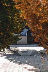 Fototapete bei efototapeten.de bestellen   