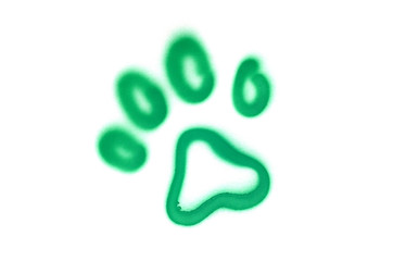 Graffiti pet's paw sign sprayed on white isolated background