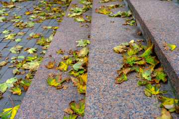Fallen yellow leaves on granite steps. Dry fallen foliage. Autumn is here