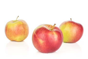 Group of three whole red apple jonagold front focus isolated on white background