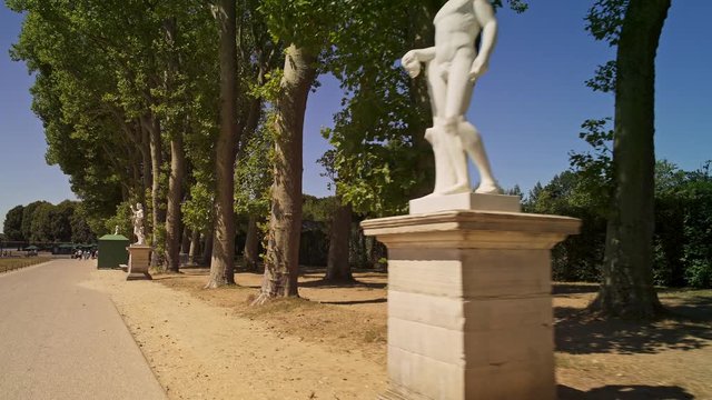 Low angle handheld tracking dolly shot in Versailles gardens statues and trees on alley at sunny day in spring