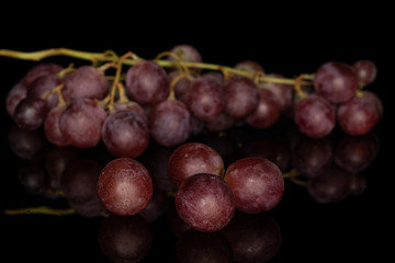 Lot of whole fresh purple grape rose isolated on black glass
