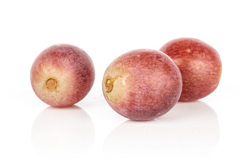 Group of three whole fresh purple grape rose isolated on white background