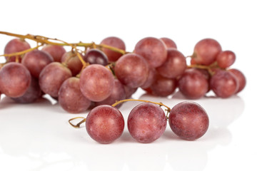 Lot of whole fresh purple grape rose front focus isolated on white background