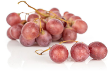 Lot of whole fresh purple grape rose front focus isolated on white background