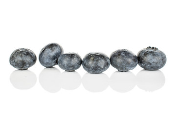 Group of six whole fresh blue blueberry isolated on white background