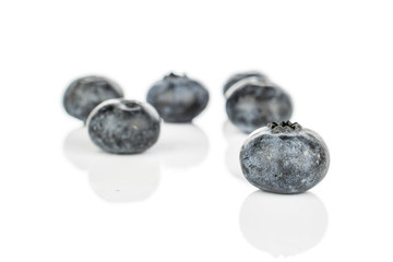 Group of six whole fresh blue blueberry isolated on white background