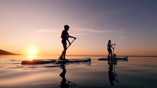 Athletes paddleboarding with a dog on a river.