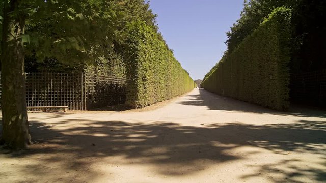 Low angle handheld tracking dolly shot walking in Versailles gardens between in France at sunny day in spring. No people