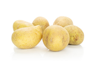 Group of six whole raw brown potato isolated on white background