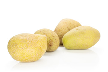 Group of four whole raw brown potato isolated on white background