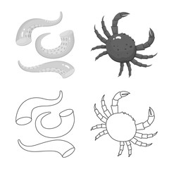 Vector design of fresh and restaurant symbol. Set of fresh and marine stock vector illustration.