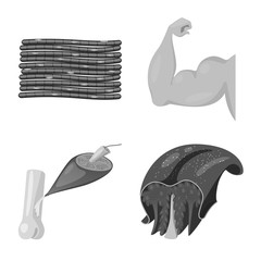 Vector design of human and body symbol. Set of human and cells stock symbol for web.