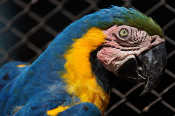 SONY DSC