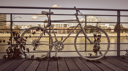 Rower nad rzeką - miasto Wrocław