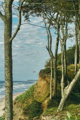drzewa na wysokim brzegi Bałtyku w okolicach Ustki, w dole morze i paralotniarz lecący nad plażą
