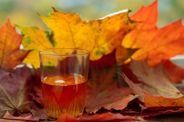 linseed oil and autumn maple leaves