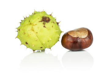 Group of two whole autumnal green chestnut front focus isolated on white background