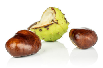 Group of three whole disordered autumnal green chestnut front focus isolated on white background