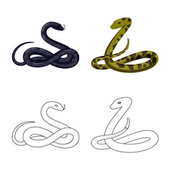 Vector illustration of mammal and danger symbol. Collection of mammal and medicine stock vector illustration.