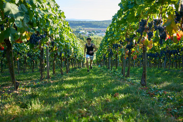 Fototapeta na wymiar Jogger running uphill between vine