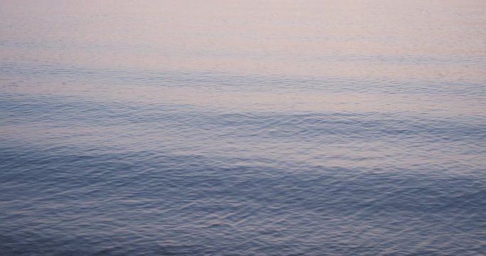Close-up of sea waves iridescent at sunset. Calm sea, pink-blue gradient, slow motion shooting. Background for your logo and text.