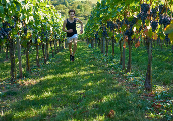 grapes dynamic running jogger Runner jogging  young attractive shorts between vineyards sportsman...
